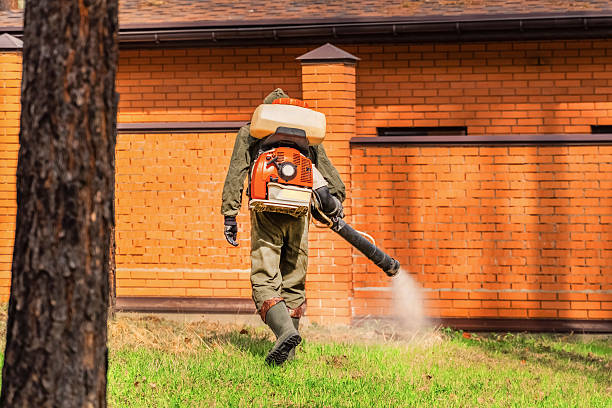 Top rated local Wasp Removal specialists in Wind Gap, PA